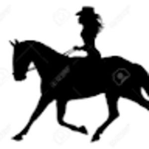 Meet your Posher, Logan